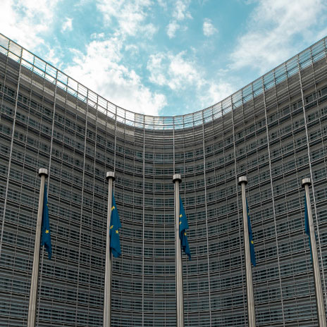 Echoes after the EU elections: 5 key sustainability updates to watch