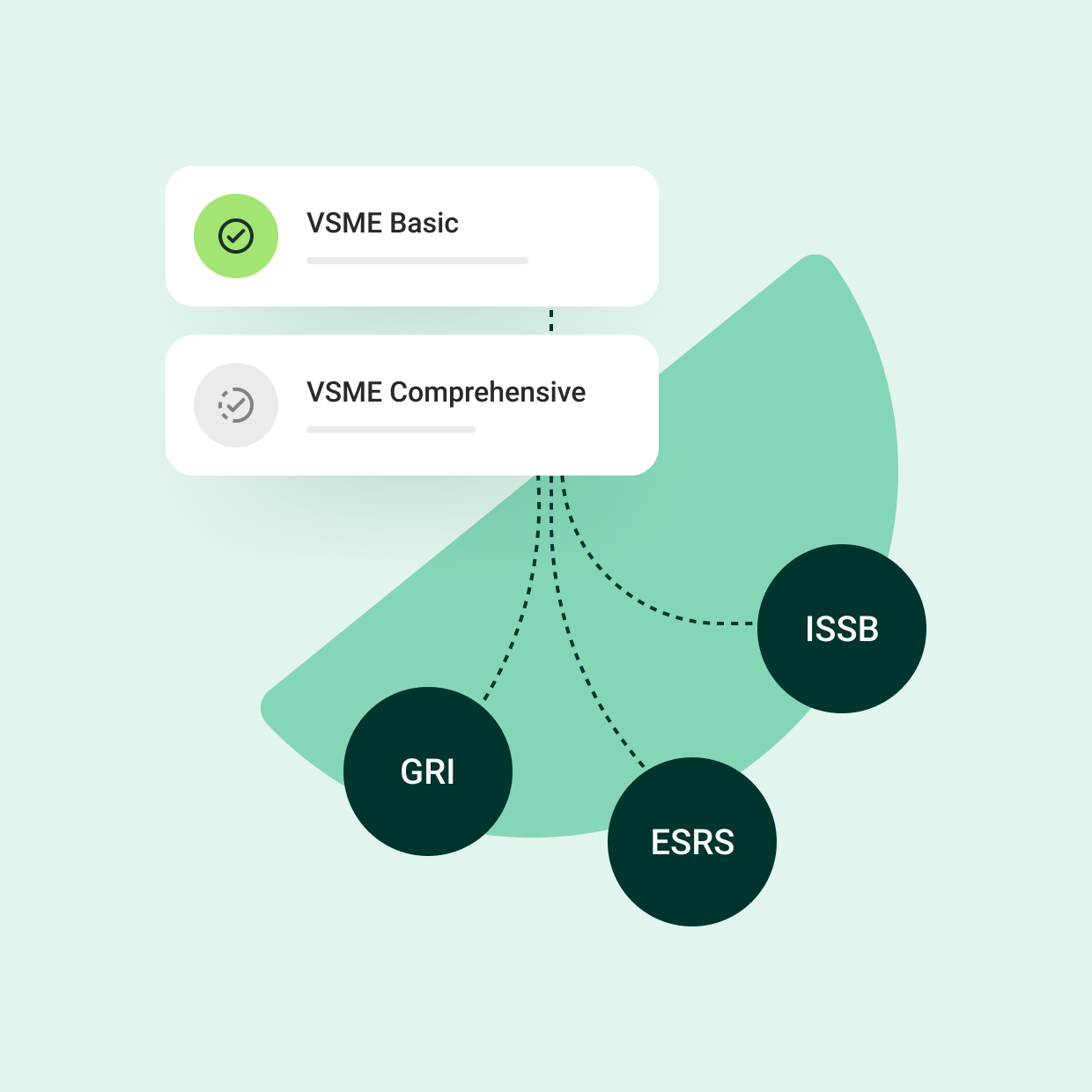 vsme reporting software scale